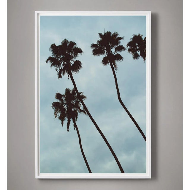 Modern Palm Sky (Blue) Photograph For Sale - Image 3 of 4