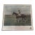 Franklin B. Voss Horse Print "Jolly Roger" (Signed) For Sale