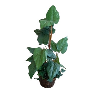 Gorgeous Faux Alocacia Large Foliage Tall Plant in Wicker Basket For Sale