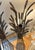 Wheat Sheath Candle Holders For Sale - Image 4 of 7