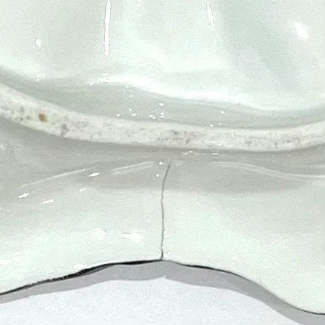 Black French Hand-Painted Porcelain Oyster Plate - Early 20th Century For Sale - Image 8 of 8