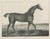 After Chalon, Thoroughbred Stallion Selim, Arabian Bloodlines, 1840, Lithograph For Sale - Image 9 of 9