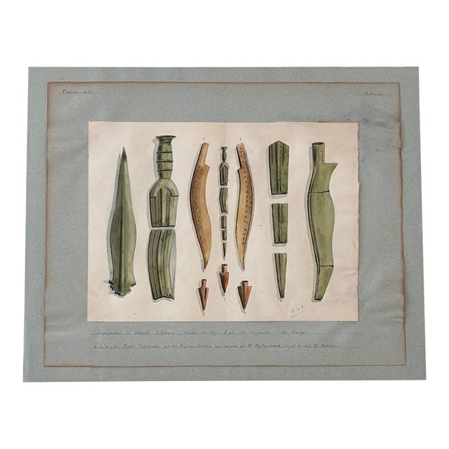 Antique Austrian Museum Watercolor c.1900 Bronze Age Tools Scientific Art c.1900 For Sale