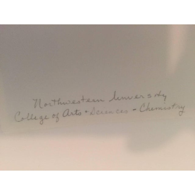 Jacalyn Diane Kalmes, Northwestern University, College of Arts, Chemistry, 1980 For Sale - Image 4 of 5