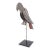 Tole Folk Art Parrot on Later Stand, Possibly French or French Colonial, Circa 1900 For Sale
