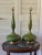 Pair of genie bottle shaped moss green porcelain lamps with brass base and connection the top part and bottom. One base is...