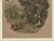 French C1880 French Botanical Chromolithograph, Matted For Sale - Image 3 of 4