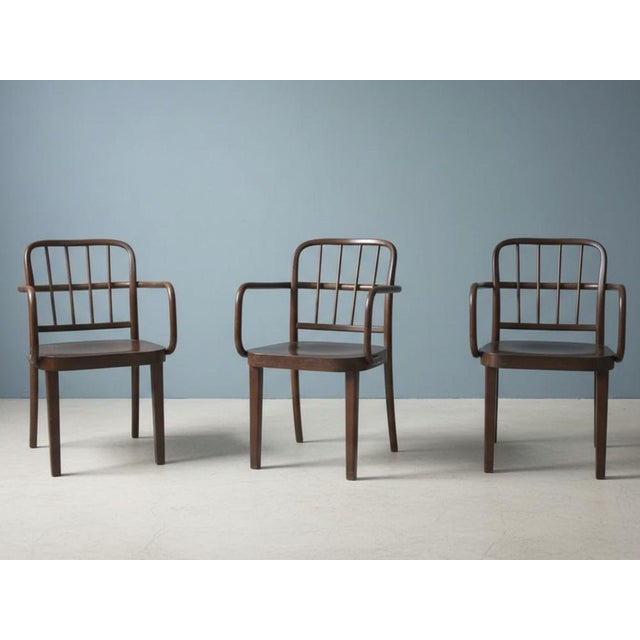1920s Bentwood Armchairs attributed to Josef Hoffmann for Thonet, Czechoslovakia, 1940s, Set of 3 For Sale - Image 5 of 9
