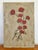 Red Antique Botanic Oil Painting of Red Carnations, Late 19th Century For Sale - Image 8 of 8