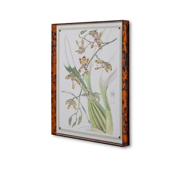 The Spring Orchid artwork series features a giclee print mounted under a 2.5" deep tortoise framed acrylic shadow box....