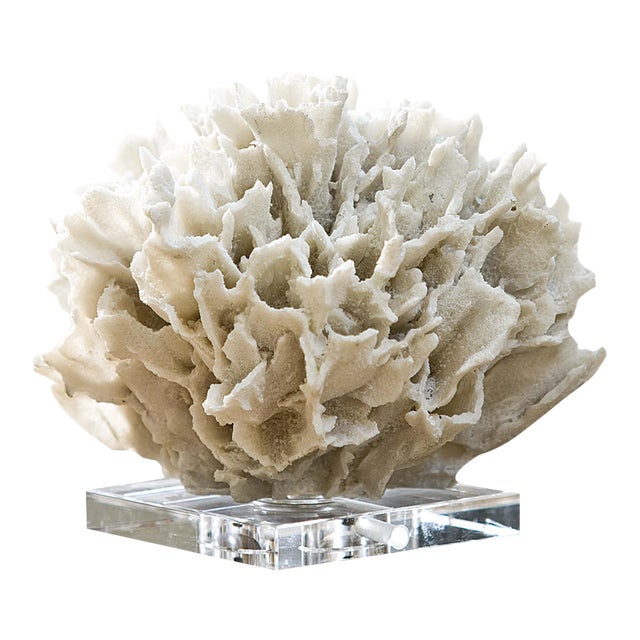 Regina Andrew Ribbon Coral in White For Sale