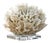 Regina Andrew Ribbon Coral in White For Sale