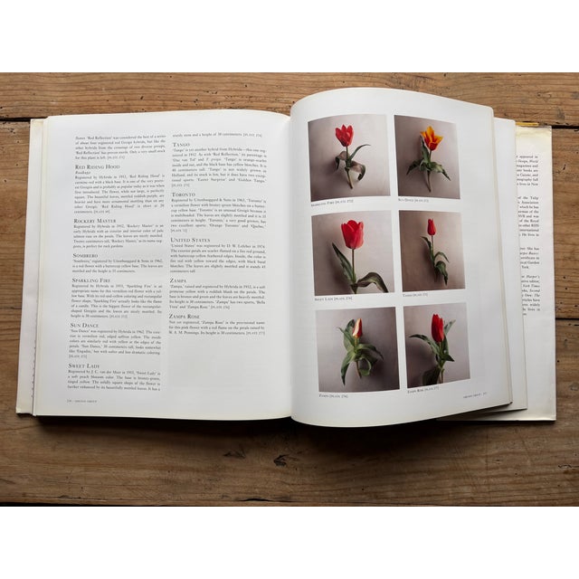 Paper Tulipa: A Photographer’s Botanical by Christopher Baker – Luxury Floral Photography Coffee Table Book For Sale - Image 7 of 12