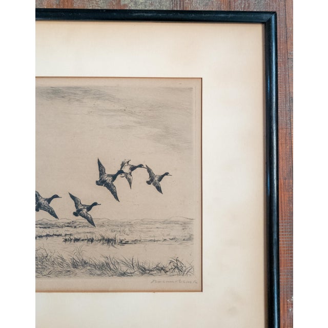 Early 20th Century Early 20th Century Drypoint Etching Print of "Little Blue Bills" by Roland Clark For Sale - Image 5 of 13