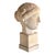 Greco-Roman Artist, Female Bust, 1960, Plaster For Sale - Image 3 of 7