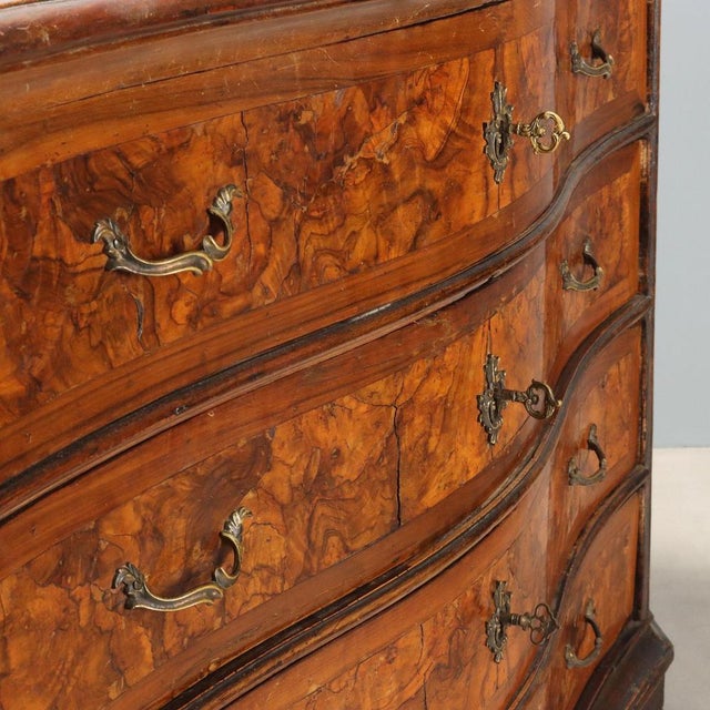 Italian Baroque Chest of Drawers in Walnut Burl For Sale - Image 5 of 11