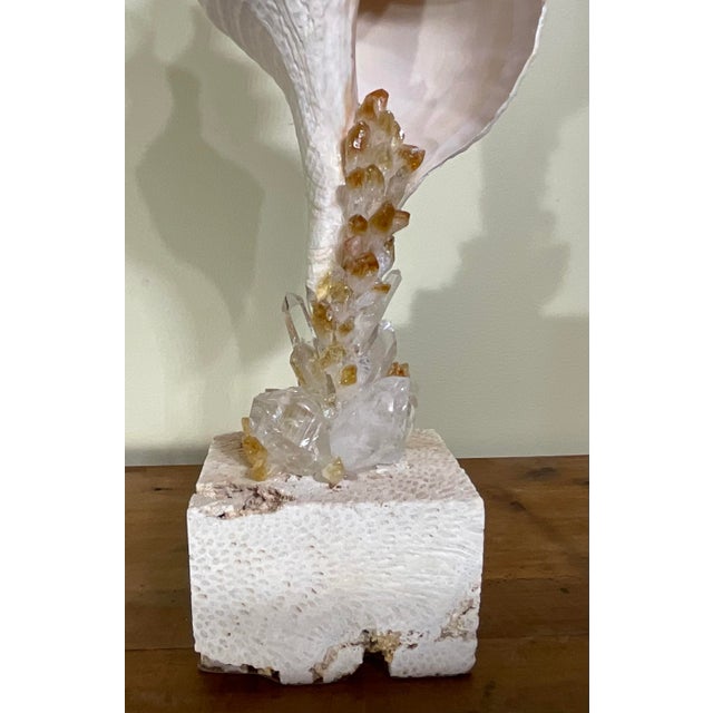 Handcrafted Marine & Mineral Sculpture by Joseph Malekan For Sale In Miami - Image 6 of 15