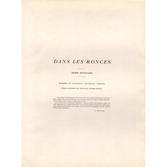 Henri Detouche, Dans les Ronces, Lithograph on Paper For Sale - Image 8 of 11