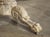 Wood Early 19th Century Painted French Gueridon Center Table With Saint-Anne Marble For Sale - Image 7 of 18