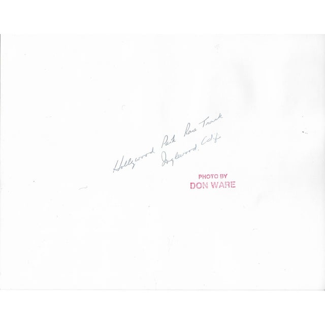 Figurative 1970s Horse Racing Photograph by Don Ware For Sale - Image 3 of 3