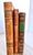 French Antique French/Swedish Leather Bound Books - Set of 3 For Sale - Image 3 of 15