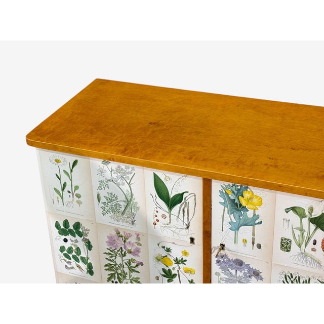 Beige Swedish Modern, Nordens Flora Cabinet, Birch, Floral Lithographs, Sweden, 1940s For Sale - Image 8 of 13