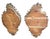 Wood Mid-19th Century Gilt & Gesso Cartouche Form Wall Mirrors, 1850, Set of 2 For Sale - Image 7 of 14