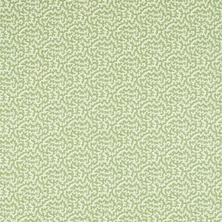 Sanderson Truffle Fabric in Sap Green For Sale