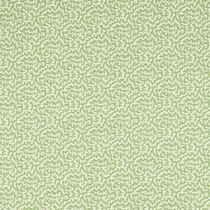 Sanderson Truffle Fabric in Sap Green