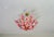 Pink Vintage Murano Glass Floral Chandelier – Rare Deep Pink Flowers, Flush Mount For Sale - Image 8 of 18