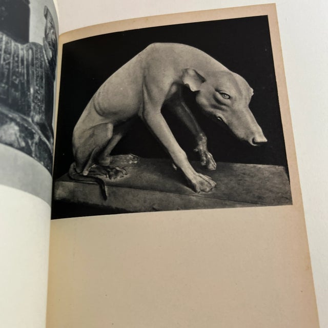 Pink 1950s the Dog in Nature, History and Art Book For Sale - Image 8 of 12