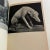 Pink 1950s the Dog in Nature, History and Art Book For Sale - Image 8 of 12