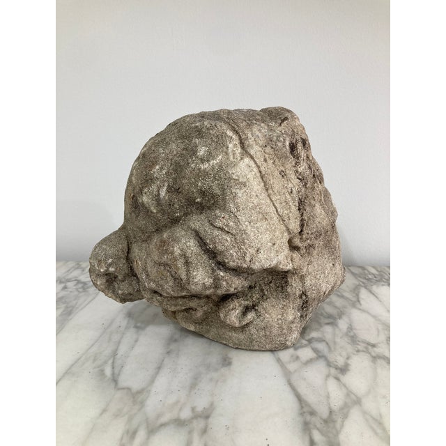 Gray Stone Statuary Head of Venus For Sale - Image 8 of 11