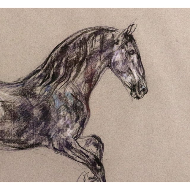 English Horse Pastel by Leslie Charlotte Benenson, Stallion Dans Don Juan, Dated July 21, 1996 For Sale - Image 3 of 6
