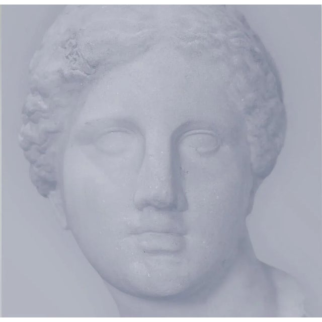 Benoit Lapray, Iconic Beauty #15, Photographic Print For Sale - Image 6 of 6