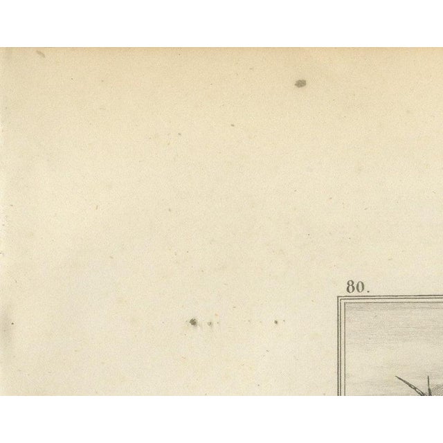 Paper Antique Map of the Var with Draguignan, 1860 For Sale - Image 7 of 12