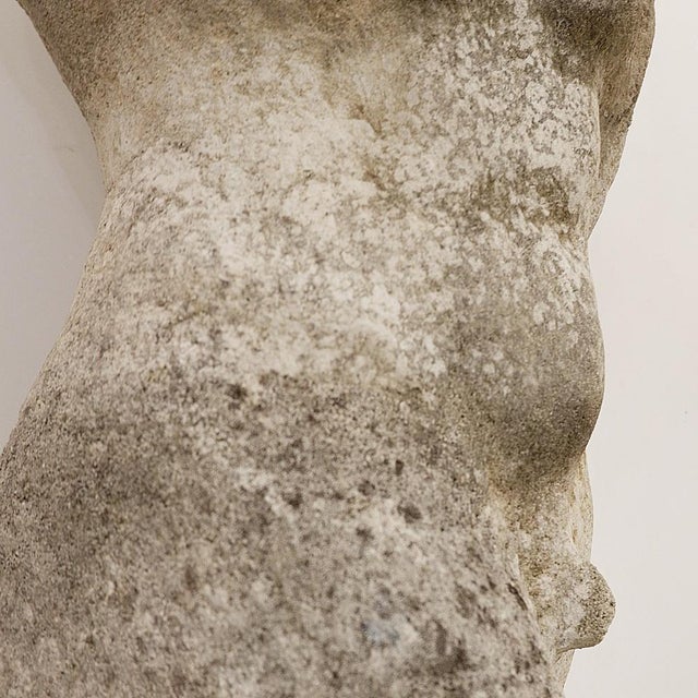 Torso Romano in Reconstituted Stone, 1950s For Sale - Image 6 of 12