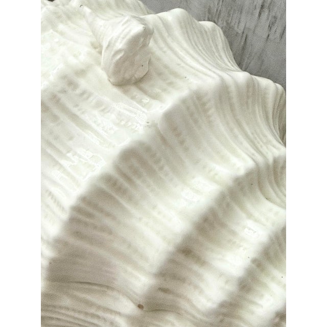 Off-white 1960’s Vintage White Porcelain Conch Shell Lidded Soup Tureen With Matching Ladle For Sale - Image 8 of 12