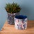 2020s Berry and Pine Tree Holiday Planter (Set of 4) For Sale - Image 5 of 6