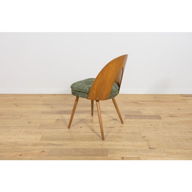Mid-Century Modern Ash Veneer Dining Chairs by Antonín Šuman for Mier Topoľčany, Czechoslovakia, 1960s, Set of 4 For Sale - Image 11 of 18