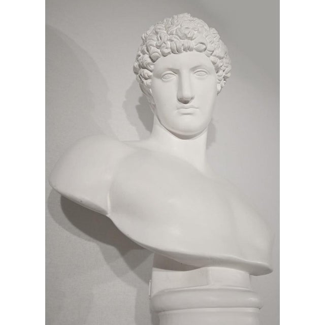 Cream Bust of Caracalla on Column, Late 19th Century, Plaster For Sale - Image 8 of 18