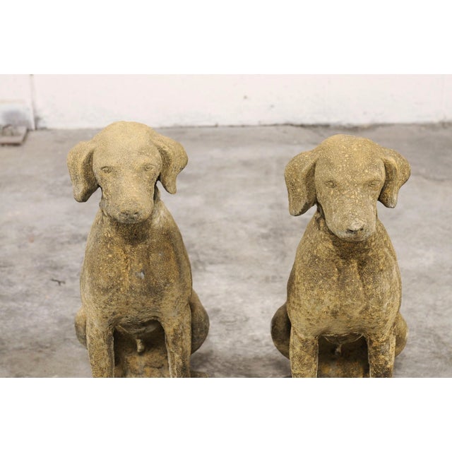 Mid 20th Century Pair of Stone Labrador Garden Statues For Sale - Image 13 of 13