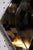 Donghia Bijou Wall Sconces in Nickel and Smoked Murano Glass - 4 Available For Sale - Image 11 of 12