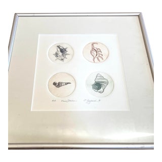 Nautical Square Drawing “Four Shells” - Artist Signed as J.England For Sale