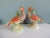 Orange and Green Chelsea House Inc Ceramic Birds - Set of 2 Hand painted Size: 5.5”D x 9.5”W x 10.5”H