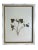 1895 Framed Antique Herbariums, Set of 20 For Sale - Image 11 of 12