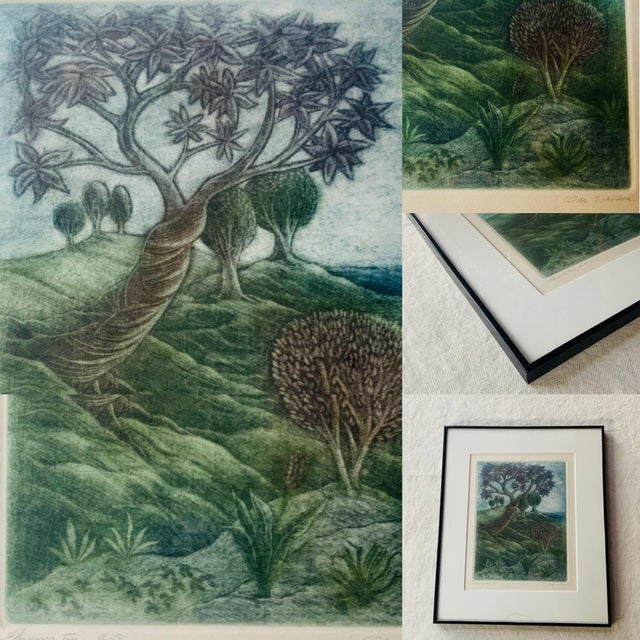 Hand Colored Steel Plate Etching "Flowering Tree" by Aida Whedon (C. 1960s) For Sale - Image 9 of 12