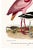 Not Yet Made - Made To Order Roseate Spoonbill & Shorebirds, Vintage Natural History Art Print Reproduction, 40" X 60" For Sale - Image 5 of 10