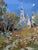 Sky Blue Oil Painting the Moonlight Illuminates Yuriy Suprunchuk For Sale - Image 8 of 12