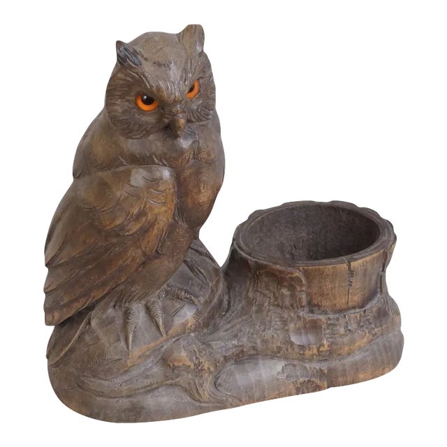 Circa 1910 Black Forest Owl For Sale